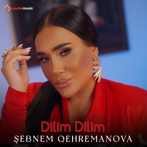 Dilim Dilim