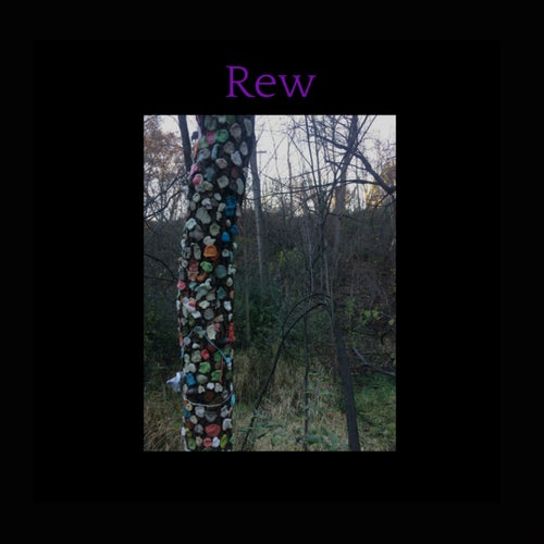 Release of the week