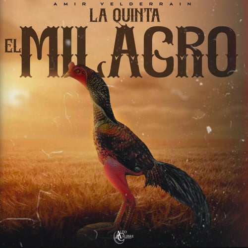 La Quinta el Milagro