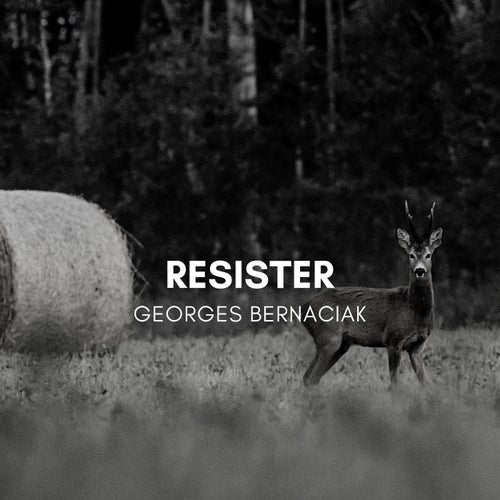 Resister