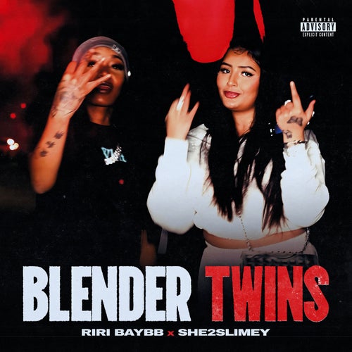 Blender Twins