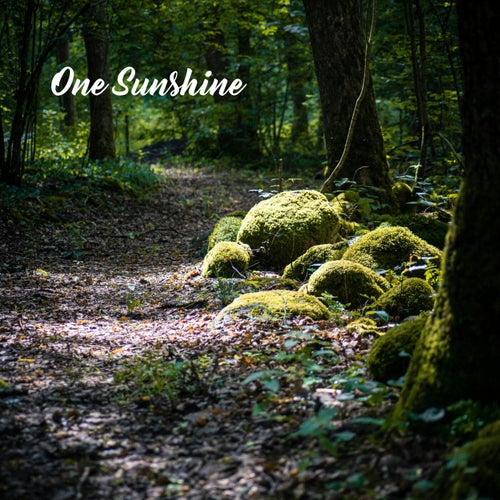 One Sunshine