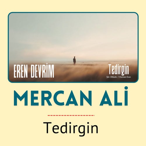 Tedirgin