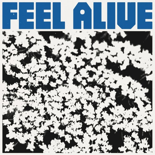Feel Alive
