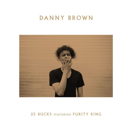 Danny Brown - Grown Up (Lyrics) 
