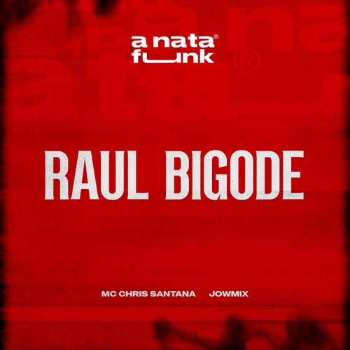 Raul Bigode