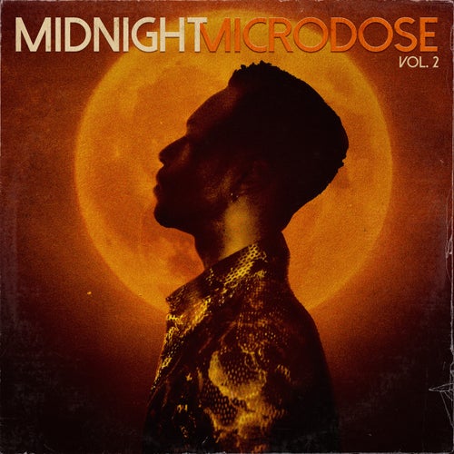 Midnight Microdose, Vol. 2