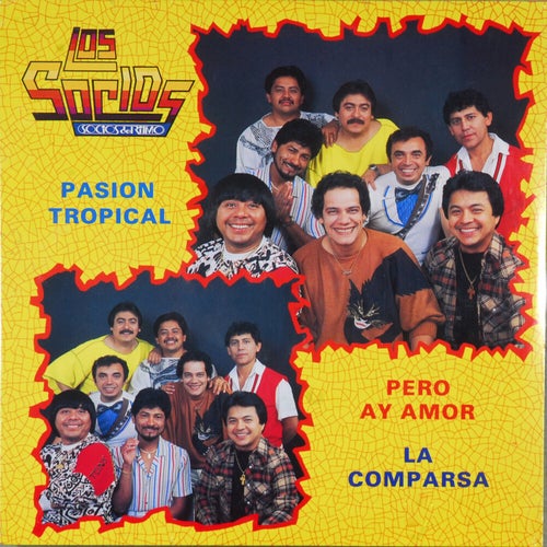 El Dengue