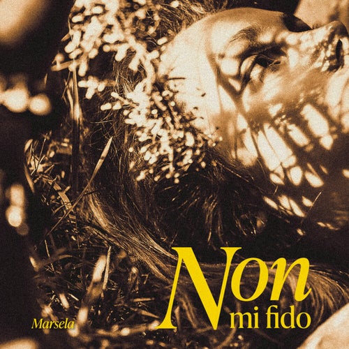 Non Mi Fido