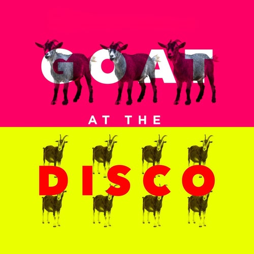 Goat At The Disco
