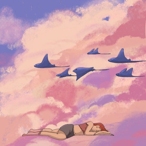 In Sleep