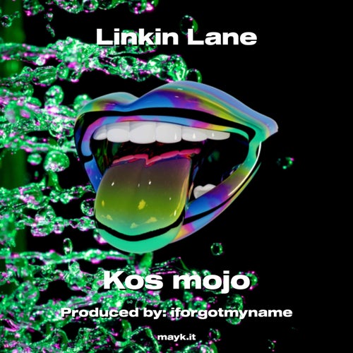 Linkin Lane