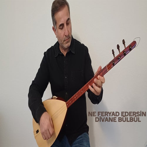 Ne Feryad Edersin Divane Bülbül