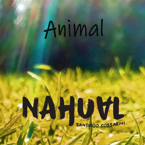 Animal