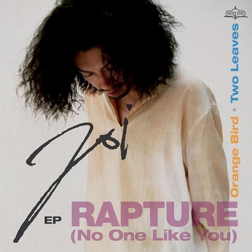 Rapture (No One Like You)