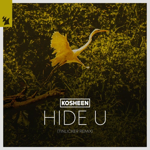 Hide U