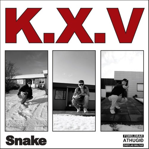 Snake