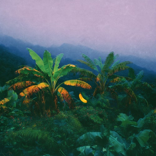 Donkey Kong Country Lofi