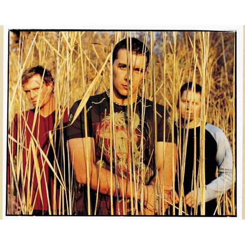 Wall Of Shame (Online Music)
