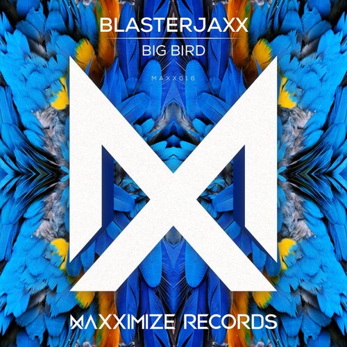 Big Bird (Extended Mix)