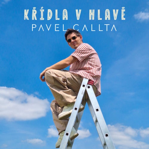 KŘÍDLA V HLAVĚ
