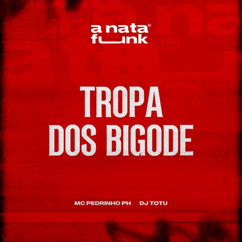 Tropa dos Bigode