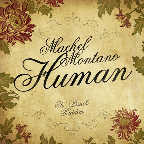 Human 