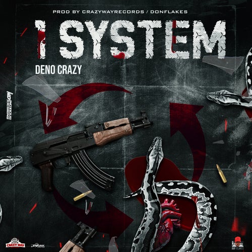 1 System