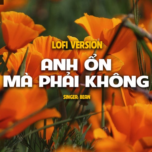 Anh Ổn Mà Phải Không (Lo-Fi)