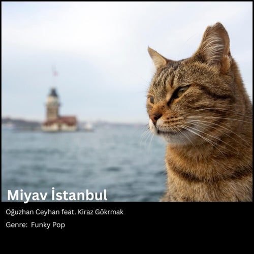 Miyav İstanbul