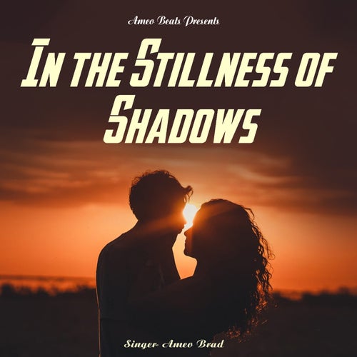 In The Stillness Of Shadows