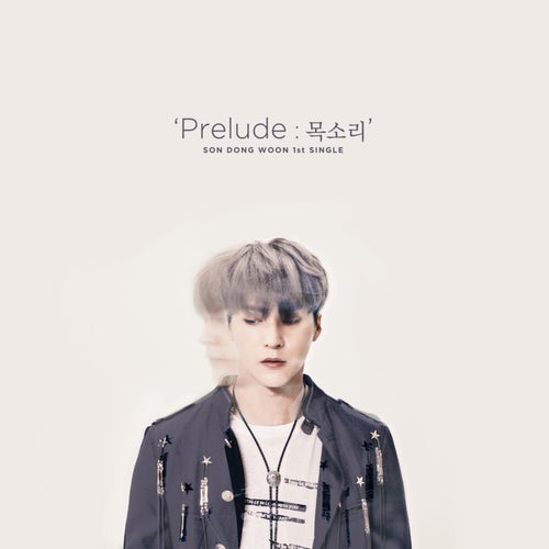 Prelude : The Voice