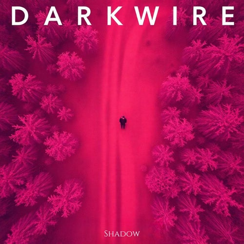 Dark Wire