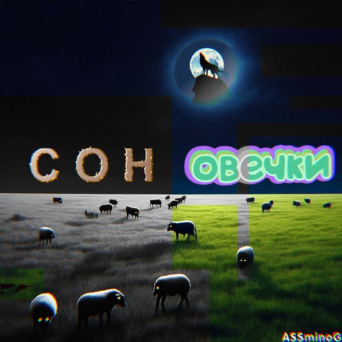 Сон Овечки