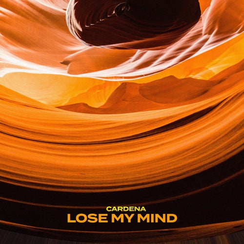 Lose My Mind
