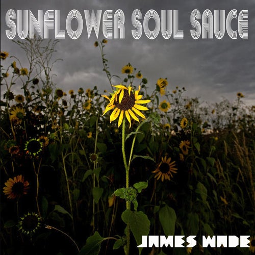 Sunflower Soul Sauce