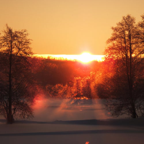 Sunshine Four