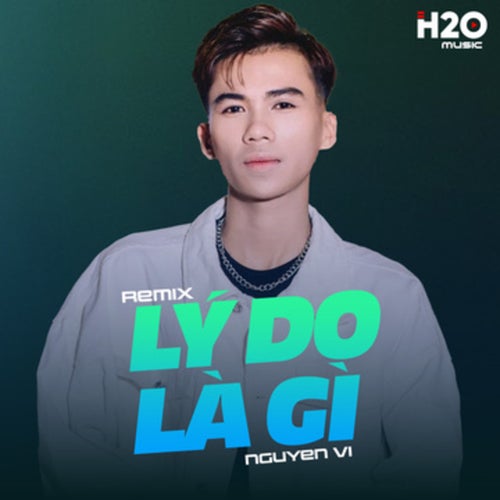 Lý Do Là Gì (Remix)