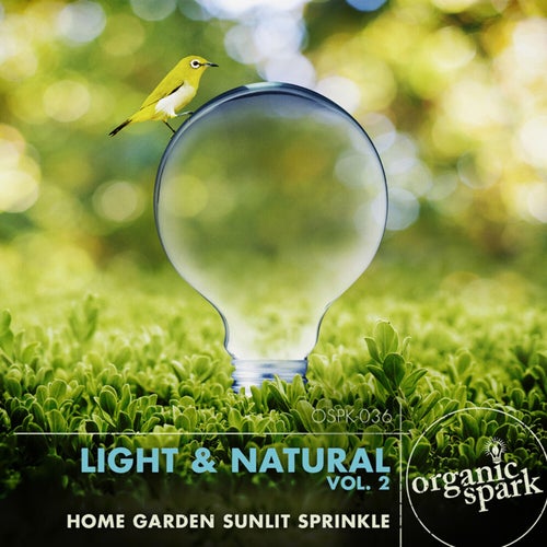 Light & Natural, Vol. 2