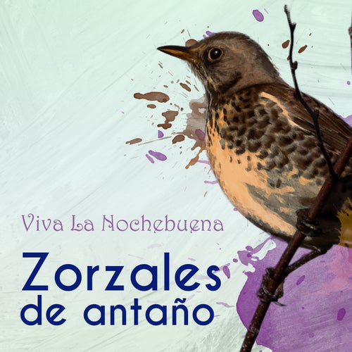 Zorzales de Antaño… Viva La Nochebuena