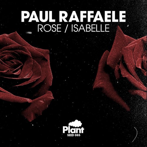 Rose / Isabelle (Remixes)