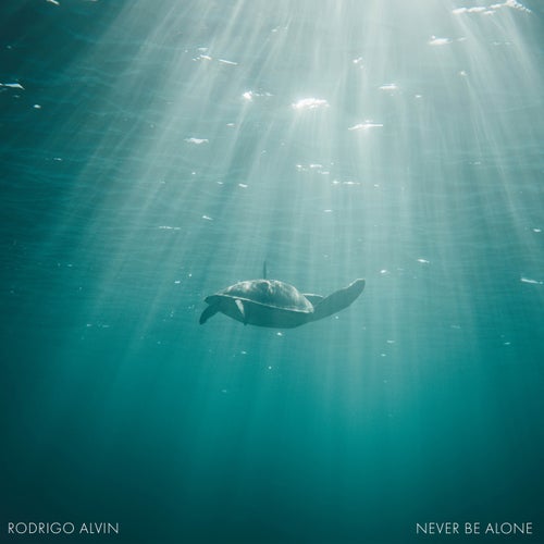 Never Be Alone