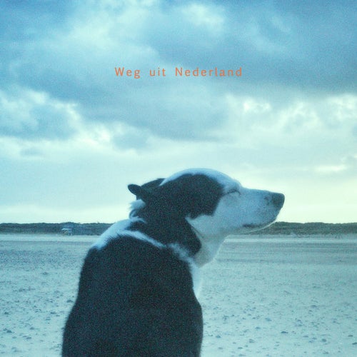 Weg uit Nederland