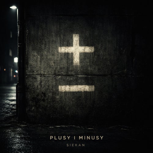 Plusy i Minusy