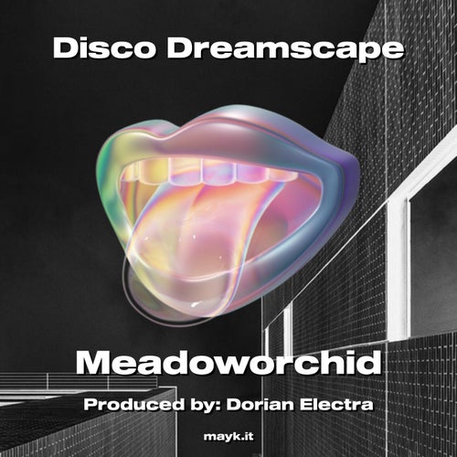 Disco Dreamscape