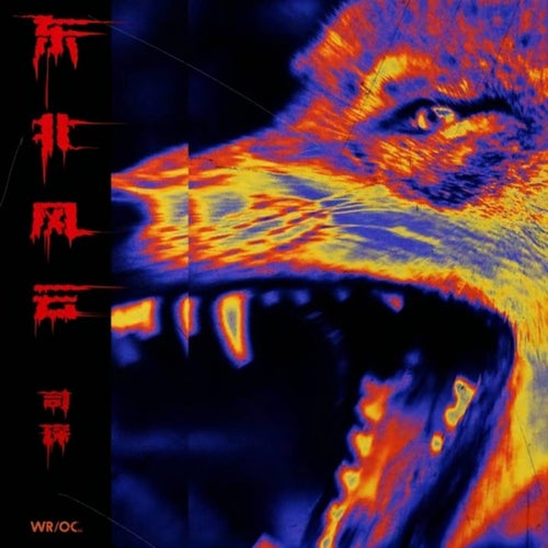 东北风云 (东北风云)
