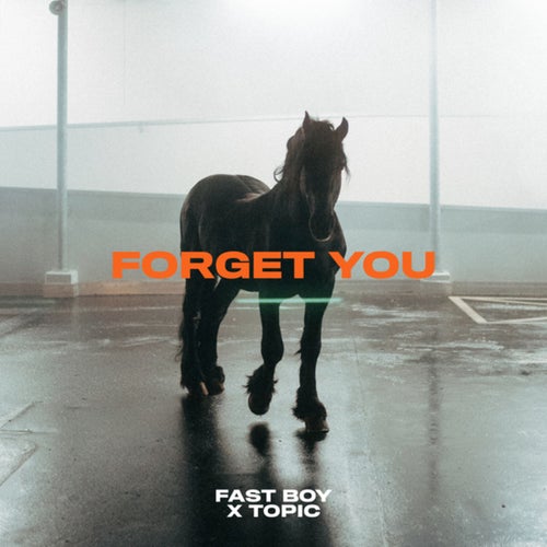 Forget You (FAST BOY VIP Extended Mix)