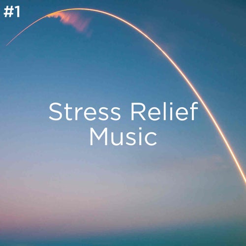 #1 Stress Relief Music