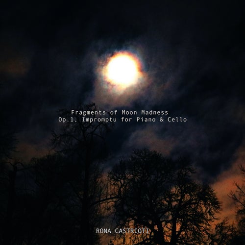 Fragments of Moon Madness (Op.1 Impromptu for Piano & Cello)