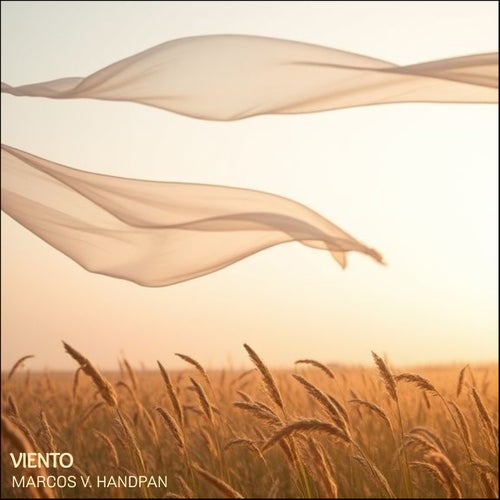 Viento